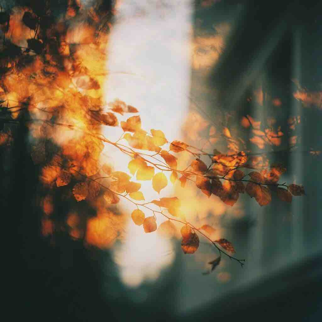 Ангел одного двора