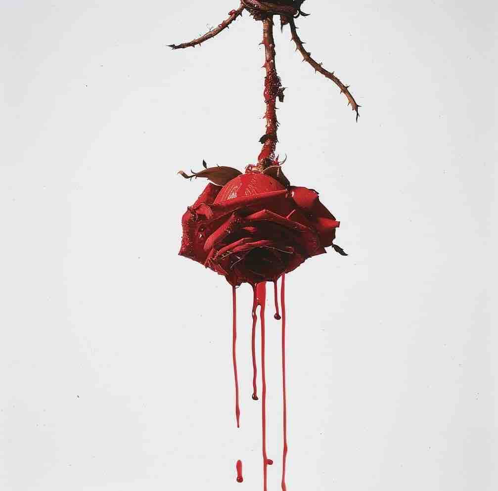 Миллион алых розог